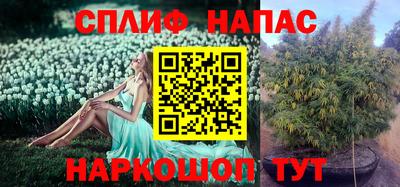 PSILOCYBIN Владимир
