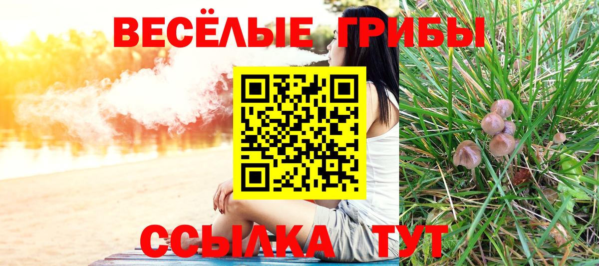 Меф Карпинск