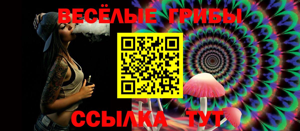 Галлюциногенные грибы Psilocybine cubensis Карпинск